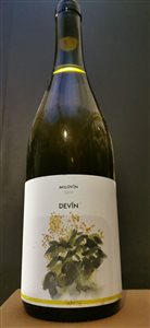 Devín 2019