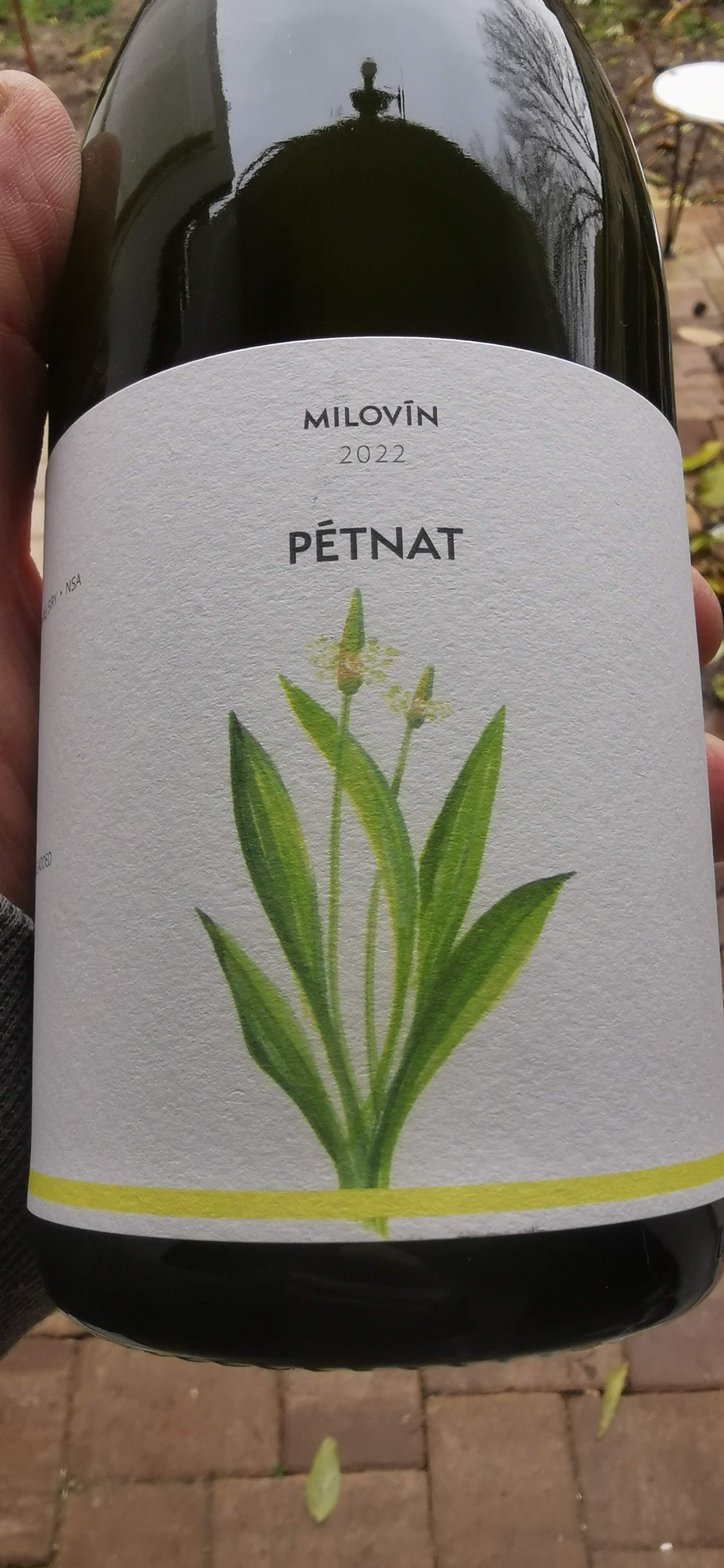 Pét-Nat - Veltlín zelený 2022