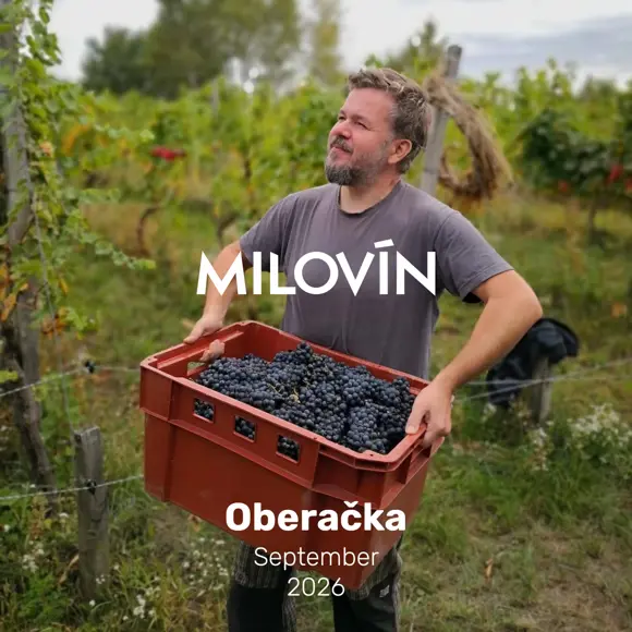 Oberačka 2026