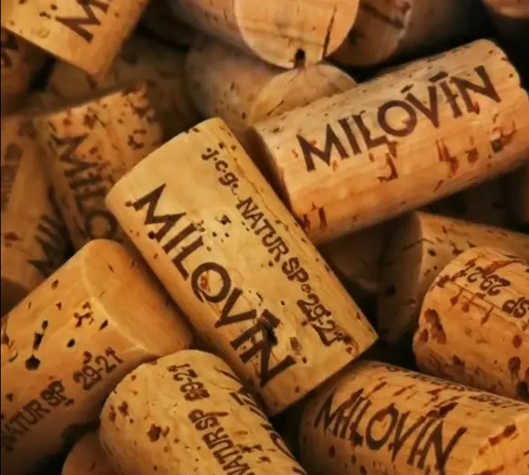 cork