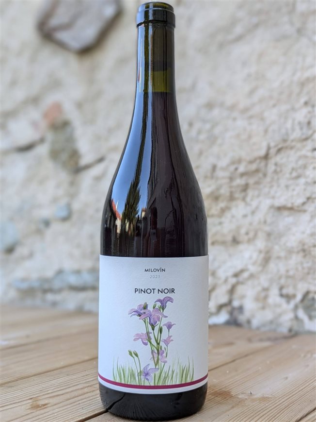 Pinot Noir Carbonic 2023
