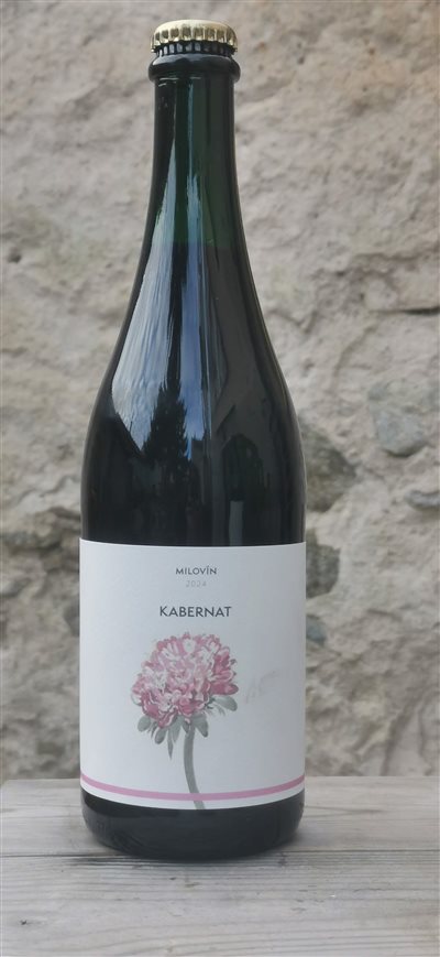 Kabernat 2024