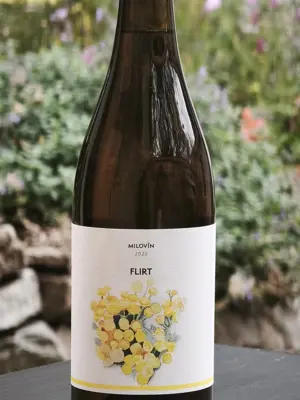 Flirt 2025