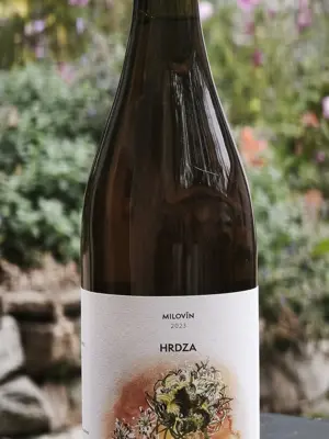 Hrdza 2023