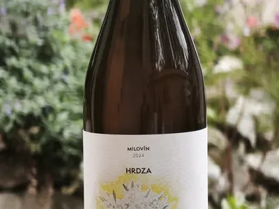 Hrdza 2024
