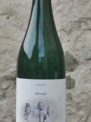 Pét-Nat