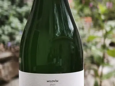 Pét-Nat