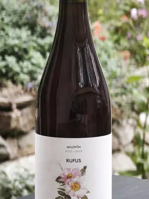 Rufus 2023/2024