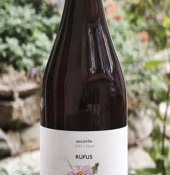 Rufus 2023/2024