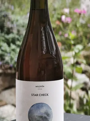 Starcheck 2024