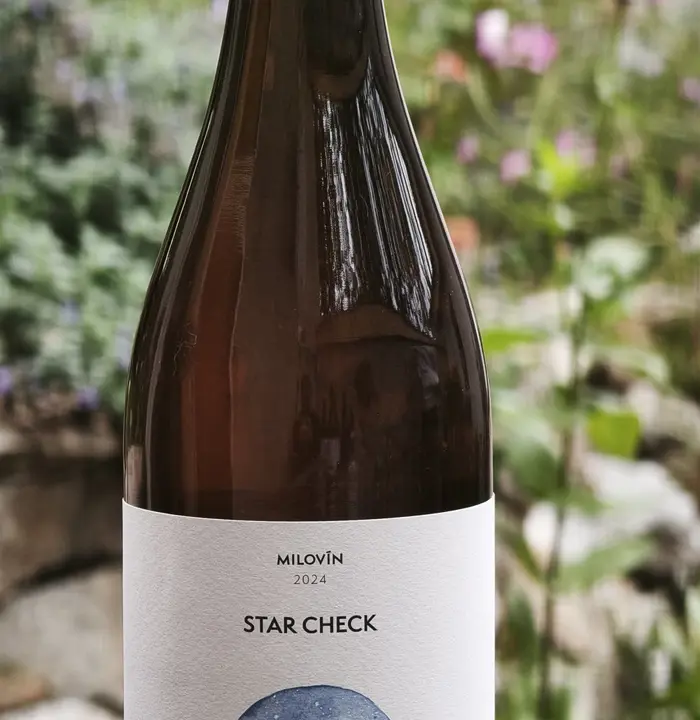 Starcheck 2024