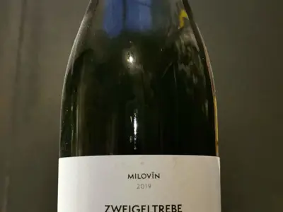 Zweigeltrebe 2019