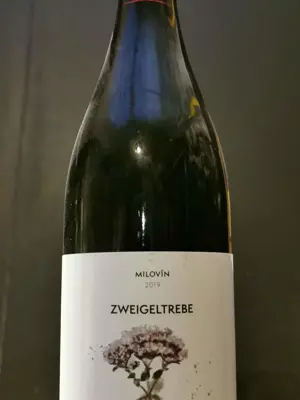 Zweigeltrebe 2019