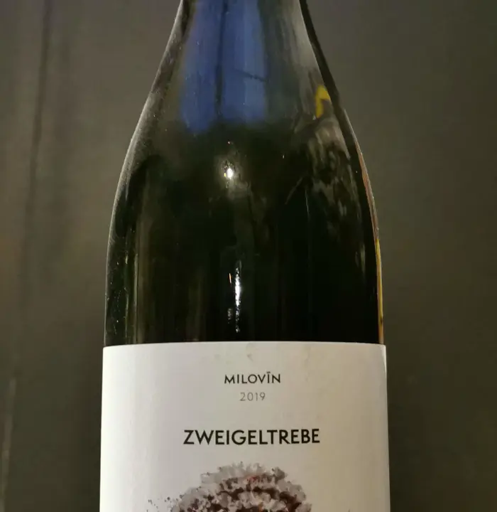 Zweigeltrebe 2019