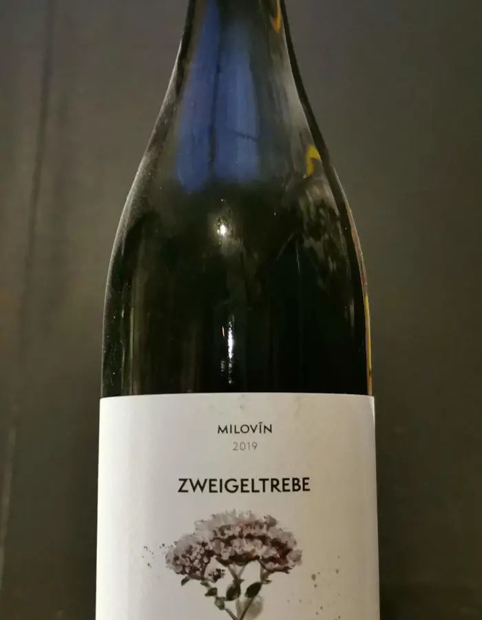 Zweigeltrebe 2019